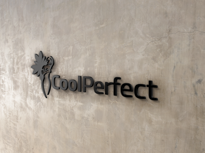Franchise - CoolPerfect Partner B2B 2